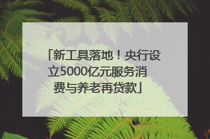 新工具落地！央行设立5000亿元服务消费与养老再贷款
