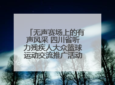 无声赛场上的有声风采 四川省听力残疾人大众篮球运动交流推广活动圆满落幕