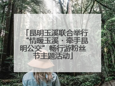 昆明玉溪联合举行“情暖玉溪・牵手昆明公交”畅行游粉丝节主题活动