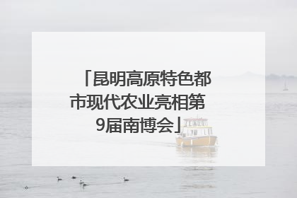 昆明高原特色都市现代农业亮相第9届南博会