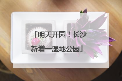 明天开园！长沙新增一湿地公园