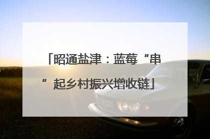 昭通盐津：蓝莓“串”起乡村振兴增收链