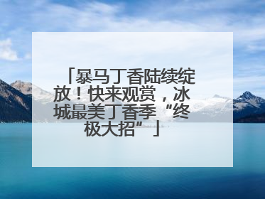 暴马丁香陆续绽放！快来观赏，冰城最美丁香季“终极大招”