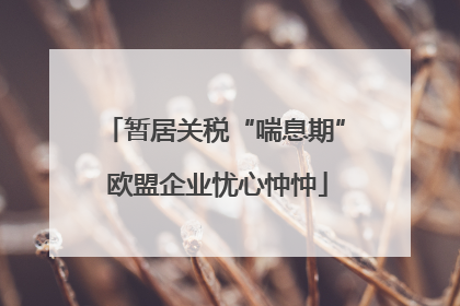 暂居关税“喘息期” 欧盟企业忧心忡忡