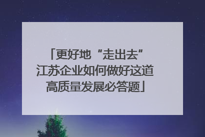 更好地“走出去” 江苏企业如何做好这道高质量发展必答题