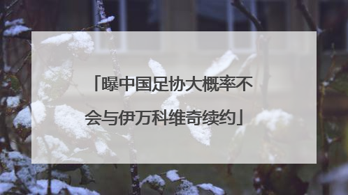 曝中国足协大概率不会与伊万科维奇续约