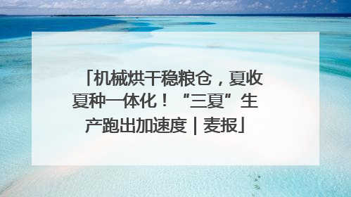 机械烘干稳粮仓，夏收夏种一体化！“三夏”生产跑出加速度｜麦报