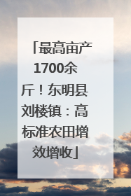 最高亩产1700余斤！东明县刘楼镇：高标准农田增效增收