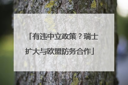有违中立政策？瑞士扩大与欧盟防务合作