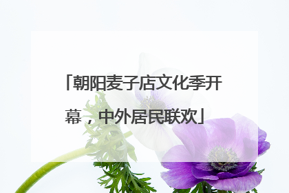 朝阳麦子店文化季开幕，中外居民联欢