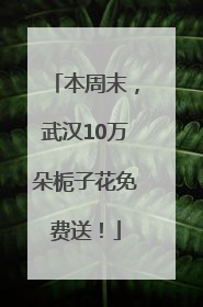 本周末，武汉10万朵栀子花免费送！