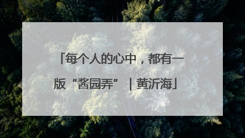每个人的心中，都有一版“酱园弄”｜黄沂海