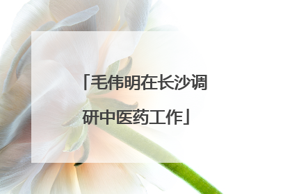 毛伟明在长沙调研中医药工作