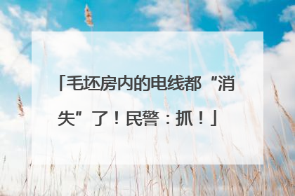 毛坯房内的电线都“消失”了！民警：抓！