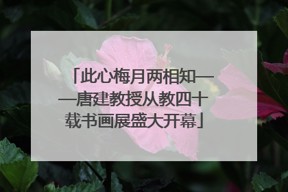 此心梅月两相知——唐建教授从教四十载书画展盛大开幕