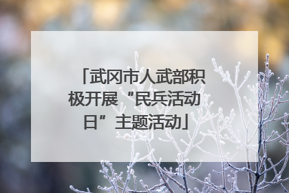 武冈市人武部积极开展“民兵活动日”主题活动