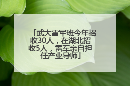 武大雷军班今年招收30人，在湖北招收5人，雷军亲自担任产业导师