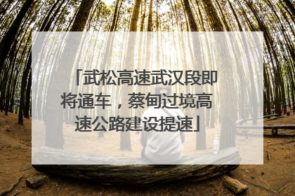 武松高速武汉段即将通车，蔡甸过境高速公路建设提速
