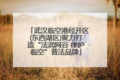 武汉临空港经开区(东西湖区)聚力打造“法润网谷 律护临空”普法品牌