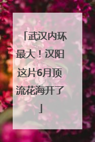 武汉内环最大！汉阳这片6月顶流花海开了