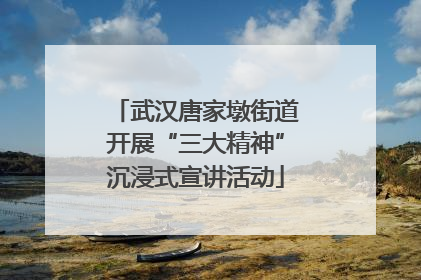 武汉唐家墩街道开展“三大精神”沉浸式宣讲活动