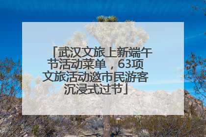 武汉文旅上新端午节活动菜单，63项文旅活动邀市民游客沉浸式过节