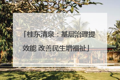 桂东清泉：基层治理提效能 改善民生增福祉