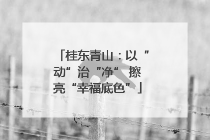 桂东青山：以“动”治“净” 擦亮“幸福底色”