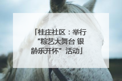 桂庄社区：举行“粽艺大舞台 银龄乐开怀”活动