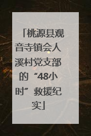 桃源县观音寺镇会人溪村党支部的“48小时”救援纪实