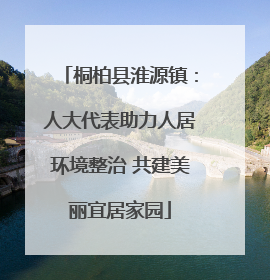 桐柏县淮源镇：人大代表助力人居环境整治 共建美丽宜居家园