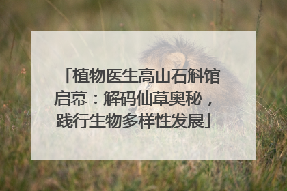 植物医生高山石斛馆启幕：解码仙草奥秘，践行生物多样性发展