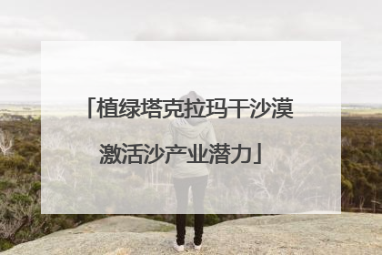 植绿塔克拉玛干沙漠 激活沙产业潜力