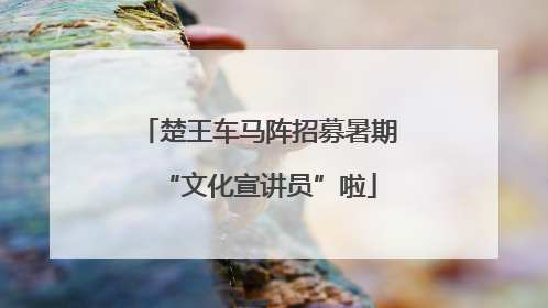 楚王车马阵招募暑期“文化宣讲员”啦