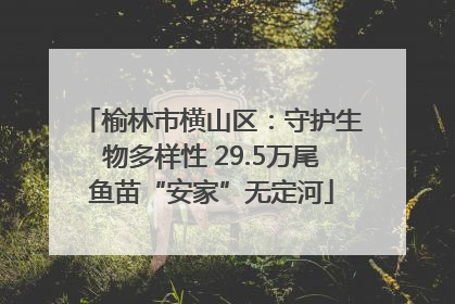 榆林市横山区：守护生物多样性 29.5万尾鱼苗“安家”无定河