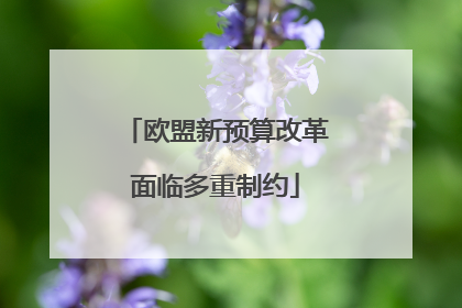 欧盟新预算改革面临多重制约
