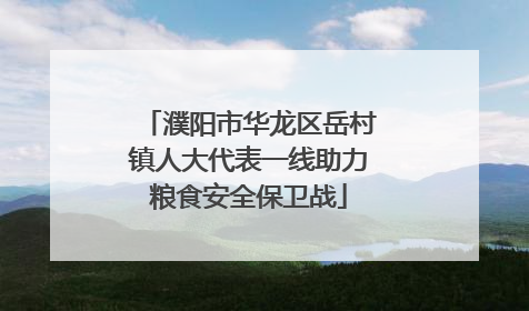 濮阳市华龙区岳村镇人大代表一线助力粮食安全保卫战