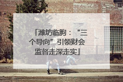 潍坊临朐：“三个导向”引领财会监督走深走实