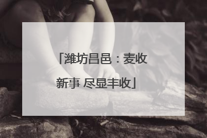 潍坊昌邑：麦收新事 尽显丰收