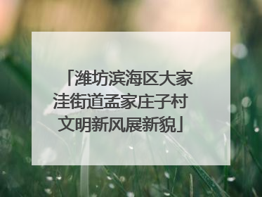 潍坊滨海区大家洼街道孟家庄子村文明新风展新貌