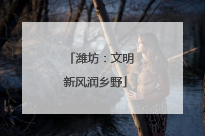 潍坊：文明新风润乡野