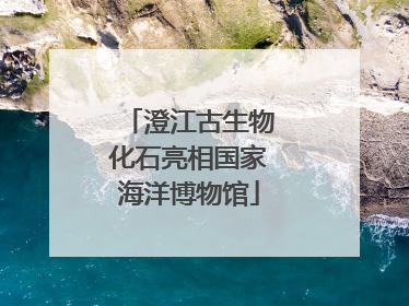 澄江古生物化石亮相国家海洋博物馆