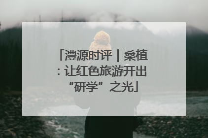 澧源时评｜桑植：让红色旅游开出“研学”之光