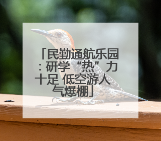 民勤通航乐园：研学“热”力十足 低空游人气爆棚
