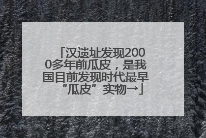 汉遗址发现2000多年前瓜皮，是我国目前发现时代最早“瓜皮”实物→