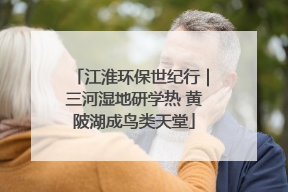 江淮环保世纪行｜三河湿地研学热 黄陂湖成鸟类天堂