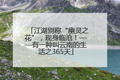 江湖别称“幽灵之花”，现身临沧！——有一种叫云南的生活之365天