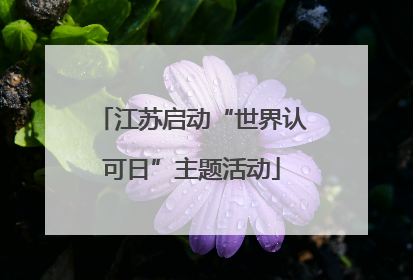 江苏启动“世界认可日”主题活动