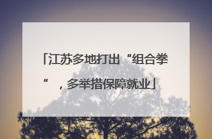 江苏多地打出“组合拳”，多举措保障就业