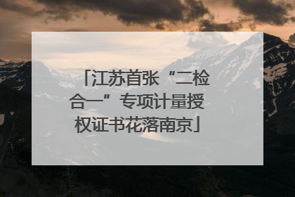 江苏首张“二检合一”专项计量授权证书花落南京